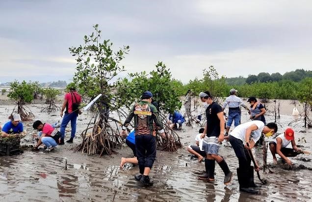 Volunteers planting mangroves on a Philippine tidal flat